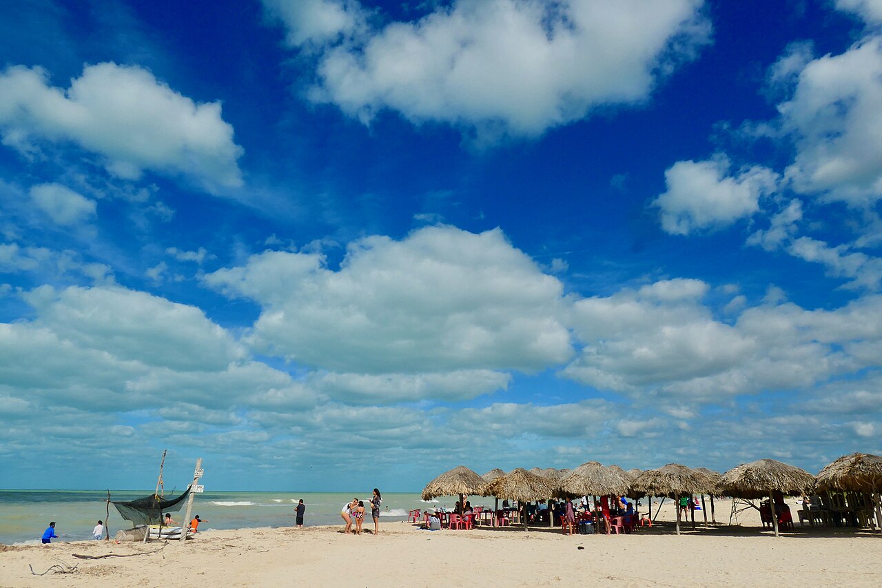Renta paddle board (SUP) · 2 horas