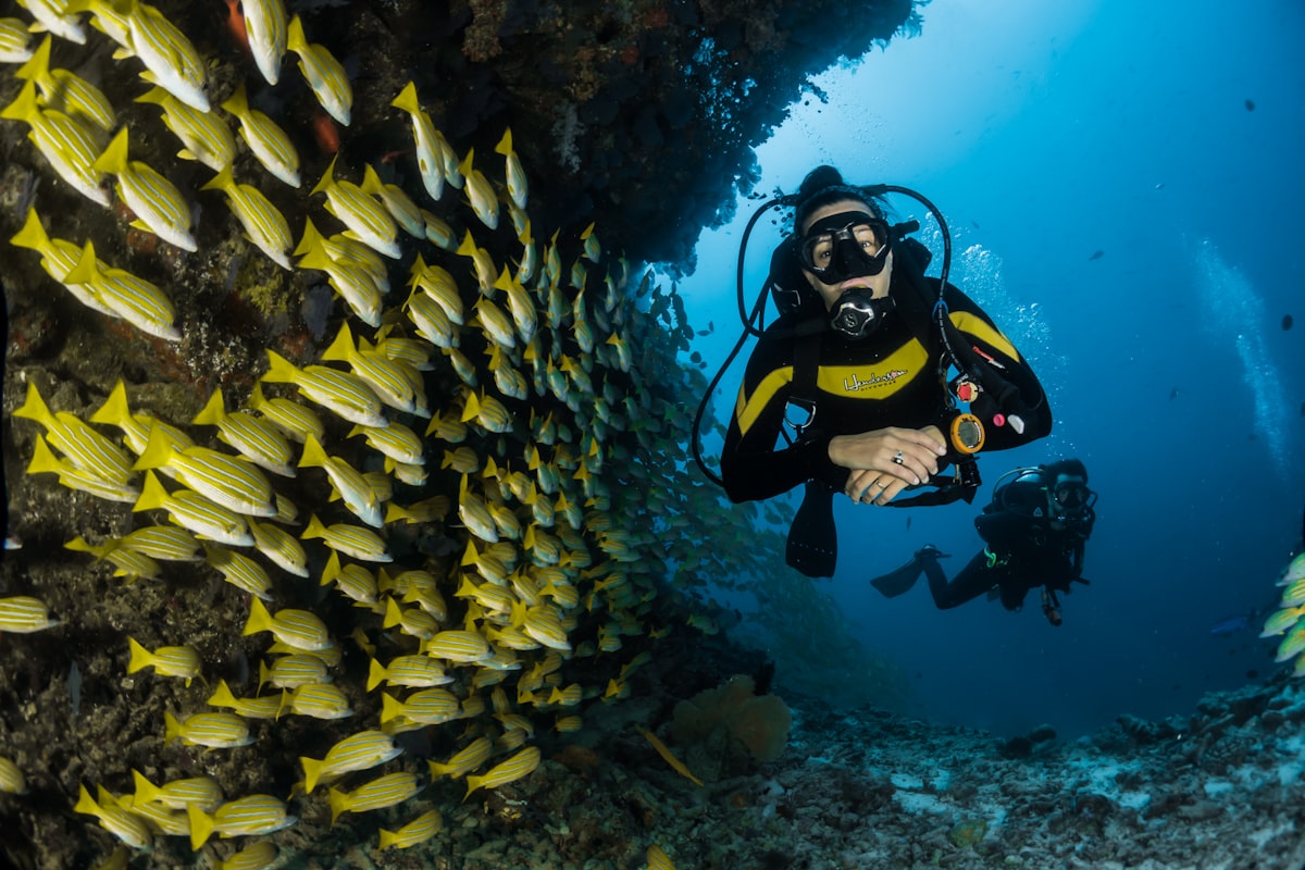 Tour en lancha por el Golfo de México